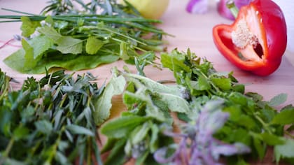 Conocé los beneficios de incluir semillas de cilantro a tu alimentación