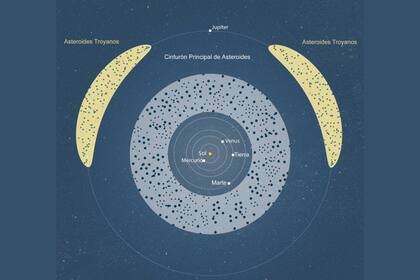 El cinturón de asteroides principal se encuentra entre Marte y Júpiter, mientras que los asteroides troyanos conducen y siguen a Júpiter