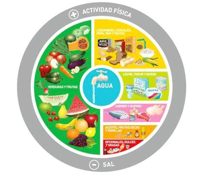 El círculo de la nutrición saludable