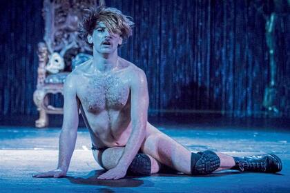 "El cisne salvaje": de Pablo Rotemberg, con Pablo Emilio Bidegain