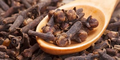El clavo de olor es rico en eugenol, un compuesto con potentes propiedades antibacterianas