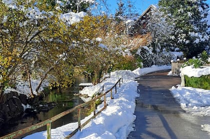 El clima, de hecho, fue lo primero que le sorprendió cuando llegó como nueva residente, esperaba inviernos siberianos y se encontró con unas pocas nevadas por temporada: “Para nosotros, que amamos el frío, no fue una grata sorpresa”.