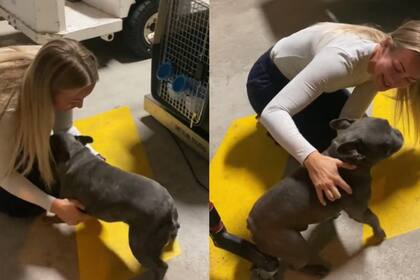 El clip se volvió viral en TikTok