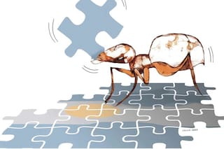 La apasionante tarea de pensar el país