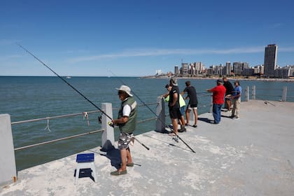 El club tiene unos 250 socios