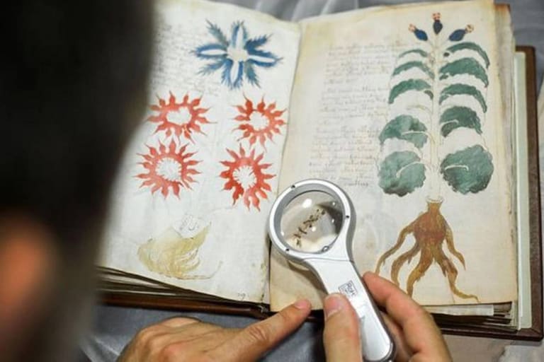 El misterio del Manuscrito Voynich, el libro medieval que nadie pudo descifrar - LA NACION
