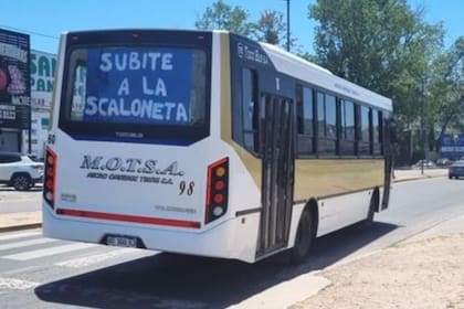 El colectivo de Tigre que lleva la ilusión de La Scaloneta