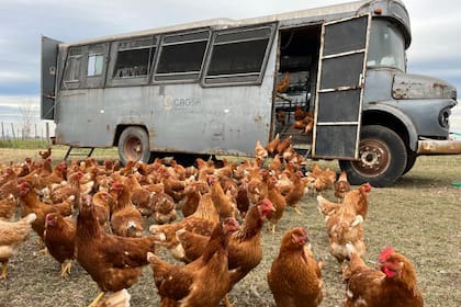 El colectivo se usaba para transportar al personal dentro del campo