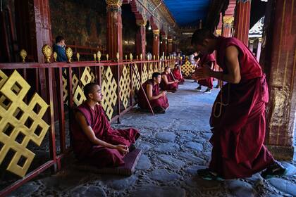 El Colegio Budista Tibetano, uno de los lugares más altos de aprendizaje en la Tierra, tiene más de 900 estudiantes que estudian mandarín, inglés y estudios políticos