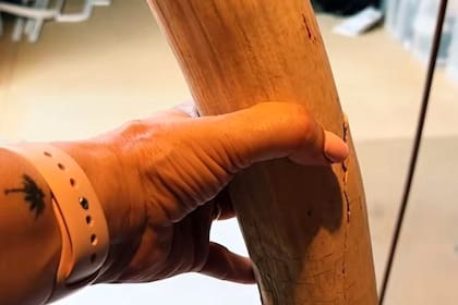 El colmillo de marfil estuvo acumulando polvo en su altillo por cuatro años, pertenecía a uno de sus clientes que vivió en India