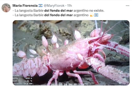 El color de la langosta también fue el centro de atención (Foto: Captura X @MaryFlorok)