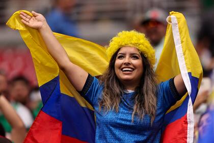 El color de una ecuatoriana en las tribunas