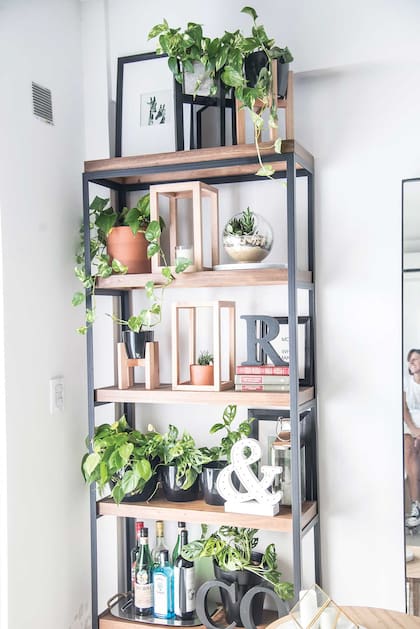 El combo perfecto: terrarios y plantas con macetas muy decorativas.