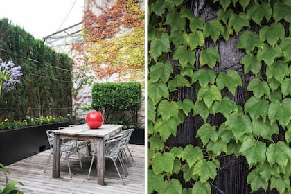 El comedor italiano y un detalle de la omnipresente ampelopsis.