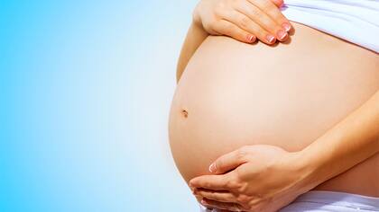 El Comité de Bioética propone prohibir la gestación subrogada en el mundo