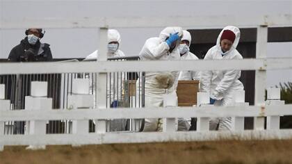 El Comité Internacional de la Cruz Roja (CICR) llevó adelante las tareas de identificación de los soldados argentinos caídos en la guerra.
