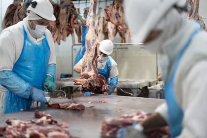 El complejo de carnes y cueros bovinos aportó exportaciones por US$4727 millones de dólares. De eso el 82% fue carne en sus diversos formatos