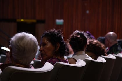 El Complejo Teatral de Buenos Aires fusiona artística y administrativamente seis salas del Gobierno de la Ciudad: los teatros San Martín, Presidente Alvear, Regio, De la Ribera, Sarmiento y Cine Teatro El Plata.