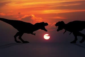El misterio de cómo tenían sexo los dinosaurios