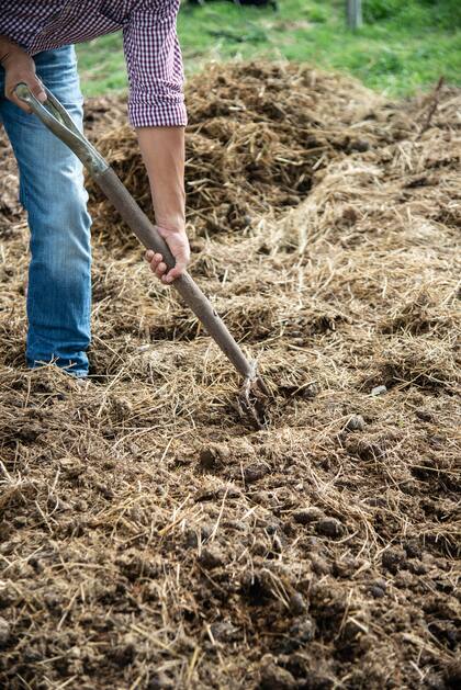 El compost ayuda a mejorar la calidad del suelo y prevenir enfermedades en las raíces