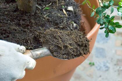 El compost es un abono natural que puede elaborarse a base de residuos orgánicos