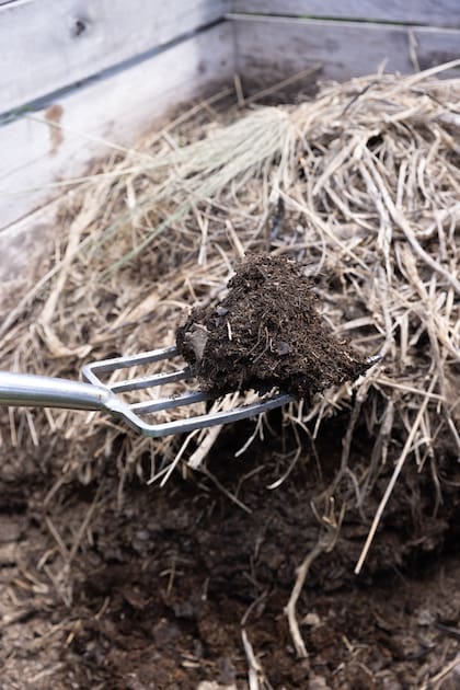 El compost le devuelve al suelo la diversidad de microorganismos que necesita