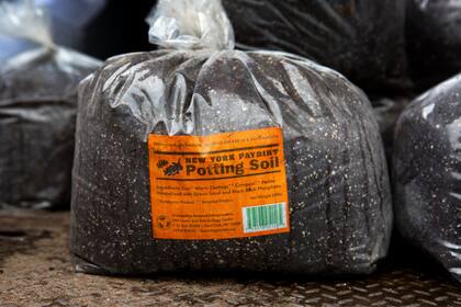 El compost será recolectado en el mismo día que el reciclaje y trasladado a plantas de procesamiento especializadas