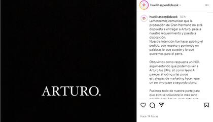 El comunicado de Huellitas perdidas, la protectora que rescató a Arturo