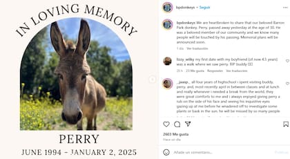 El comunicado de prensa de Barron Park Donkeys tras la muerte de Perry