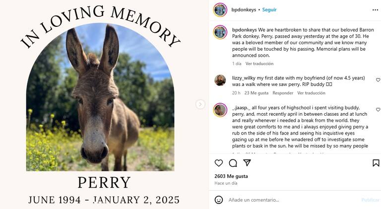 El comunicado de prensa de Barron Park Donkeys tras la muerte de Perry