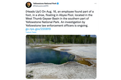 El comunicado de Yellowstone sobre el pie hallado en sus aguas