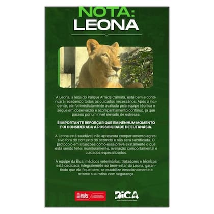 El comunicado del zoológico sobre el estado de salud de la leona tras el ataque