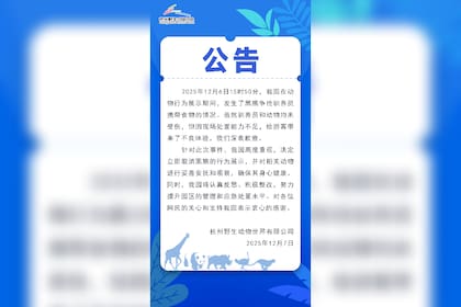 El comunicado emitido por el Hangzhou Safari Park tras el incidente que protagonizaron un oso negro y su cuidador
