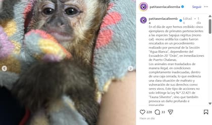 El comunicado oficial del refugio salteño