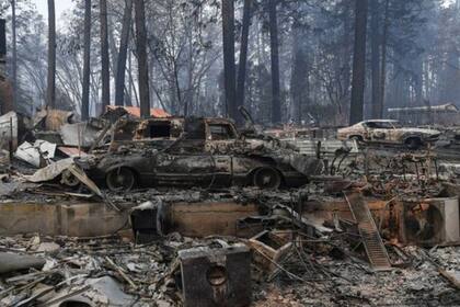 Los incendios forestales del año pasado resultaron en la mayor operación de búsqueda en la historia de California