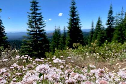 El condado de Modoc, en California tiene una gran belleza natural y es asequible