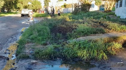 El conductor ya se había subido a la vereda antes del impacto - 0223