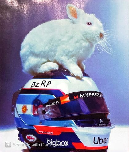 El conejo Winter sobre el casco de Colapinto. Foto: X