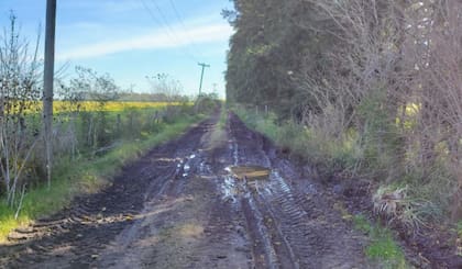 El conflicto escaló cuando comenzaron a llegar facturas con aumentos retroactivos asociados a un concepto denominado “macrolote”, que según los productores se calcula en función de la valuación fiscal provincial de cada campo