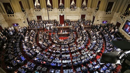 El Congreso argentino