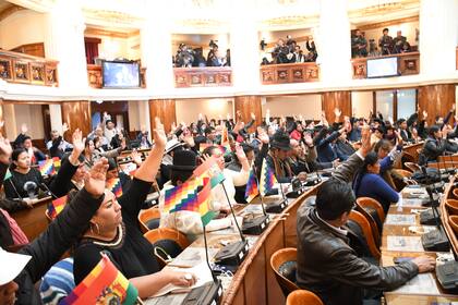 El Congreso boliviano aprobó la ley que convoca a nuevos comicios generales sin Evo Morales