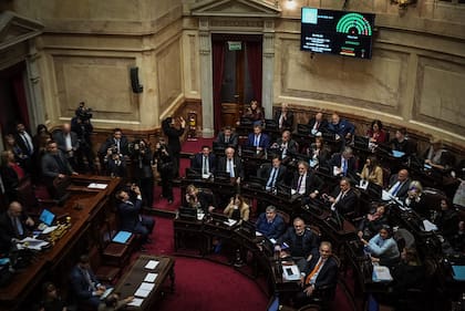 El Congreso, con dos tercios, puede insistir con la ley de financiamiento universitario