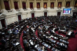 El Congreso de la Nación va a debatir el proyecto de Ley Hojarasca del Gobierno