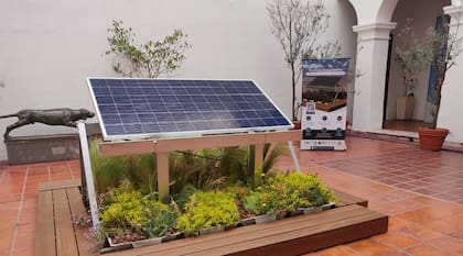 El Conicet y la Universidad Catóilca de Córdoba patentaron un sistema modular para crear techos biosolares, que combinan paneles solares y plantas nativas con un sistema de montaje sencillo y bajo mantenimiento
