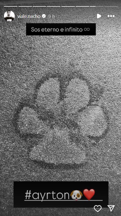 El conmovedor recuerdo de Nacho con su perro