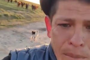 Lo echaron de su trabajo y su video llorando por tener que dejar al perro del campo conmovió a todos