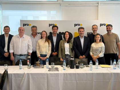 El consejo directivo de Pro bonaerense se reunió en las oficinas de la calle Balcarce porteña