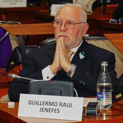 El constituyente del Frente Justicialista Guillermo Jenefes