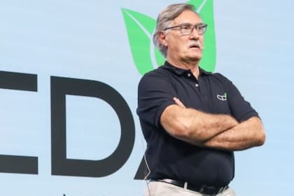 El consultor Luis Mogni