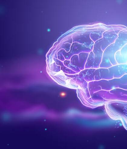 El consumo de azúcar hace que el cerebro se active más de lo normal